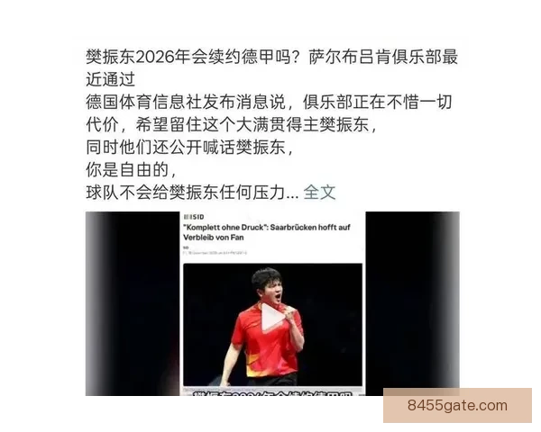 年薪120万欧樊振东为德甲俱乐部创造的商业价值与诱人续约条件解析