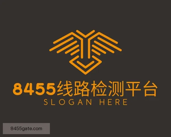 认识8455线路检测平台