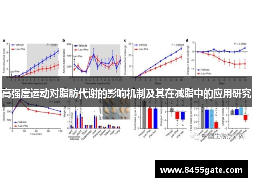 高强度运动对脂肪代谢的影响机制及其在减脂中的应用研究